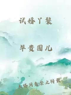 试婚丫鬟