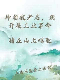 神朝破产后，我开展工业革命