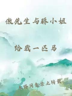 傲先生与骄小姐