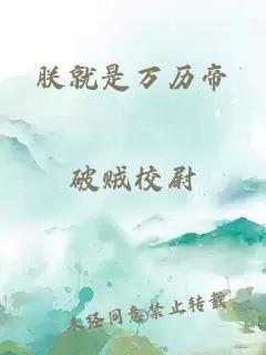 朕就是万历帝小说封面 朕就是万历帝