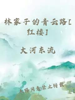 林家子的青云路[红楼]