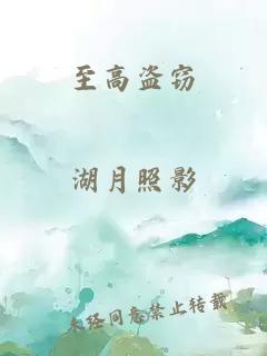 至高盗窃