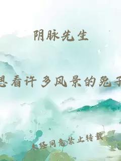 阴脉先生