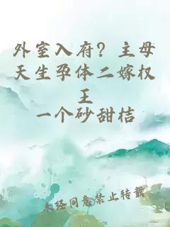 外室入府？主母天生孕体二嫁权王