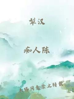 犁汉