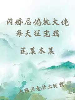 闪婚后偏执大佬每天狂宠我