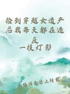 捡到穿越女遗产后我每天都在造反小说封面 捡到穿越女遗产后我每天都在造反