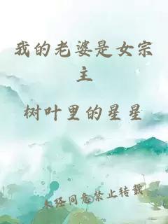 我的老婆是女宗主