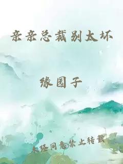 亲亲总裁别太坏