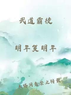 武道霸徒