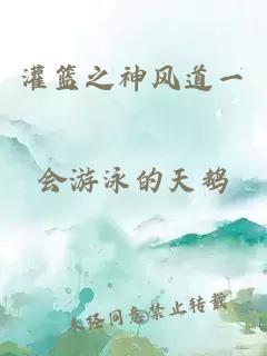 灌篮之神风道一