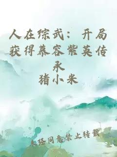 人在综武：开局获得慕容紫英传承