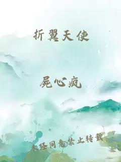 折翼天使