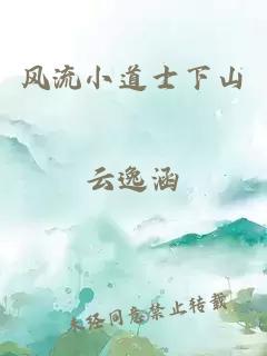 风流小道士下山小说封面 风流小道士下山