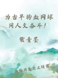 为古早狗血网球同人文奋斗！