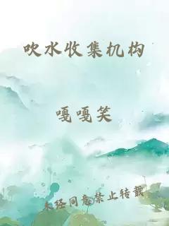 吹水收集机构小说封面 吹水收集机构